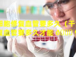 干细胞修复血管要多久（干细胞修复血管要多久才能 🐞 恢复）